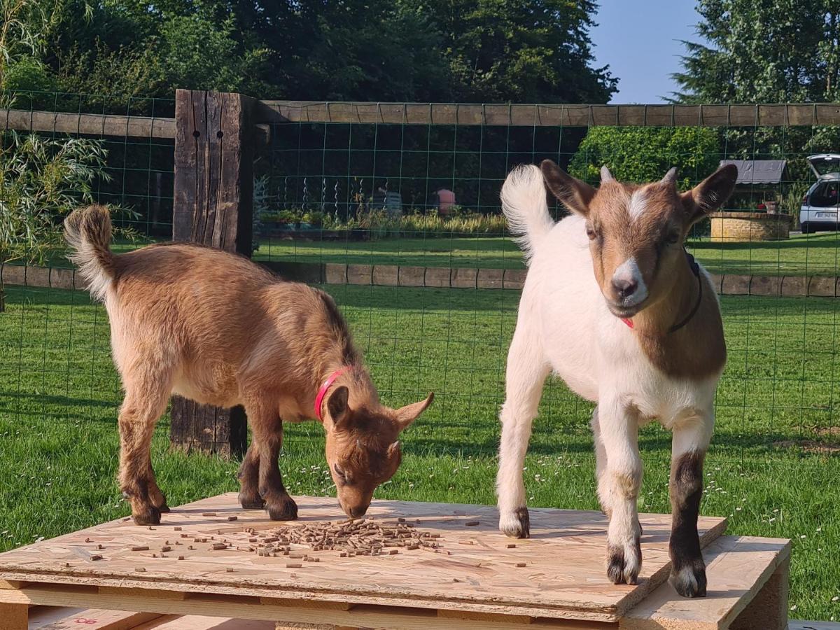 Gite Le Manege Normand Grand-Camp  エクステリア 写真